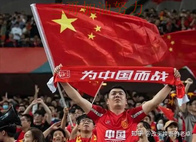 世界杯投注网站大全精选报告：数据分析+直播与实际体验总结 - World Cup 2026